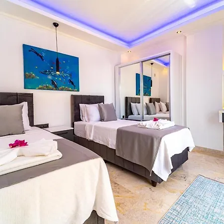 Kalkan Halal カシュ